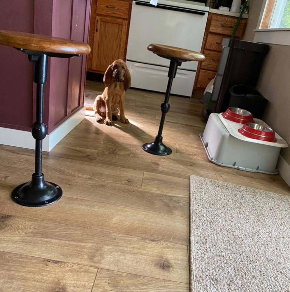 Meet your Posher, Jonathan